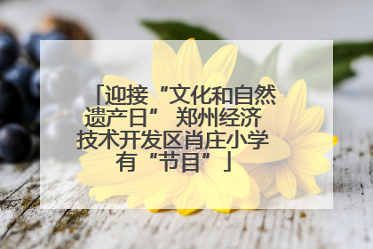 迎接“文化和自然遗产日” 郑州经济技术开发区肖庄小学有“节目”
