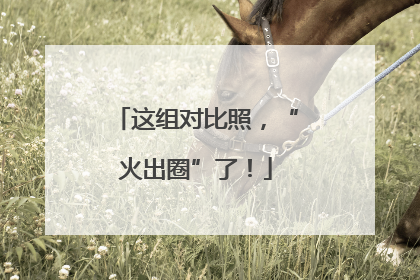 这组对比照，“火出圈”了！