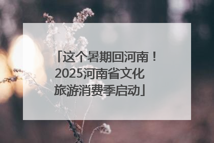 这个暑期回河南！2025河南省文化旅游消费季启动