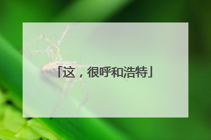这，很呼和浩特