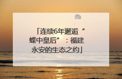 连续6年邂逅“蝶中皇后”：福建永安的生态之约