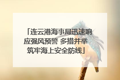 连云港海事局迅速响应强风预警 多措并举筑牢海上安全防线