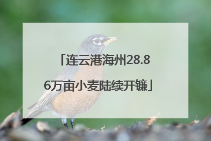 连云港海州28.86万亩小麦陆续开镰