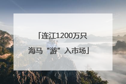 连江1200万只海马“游”入市场