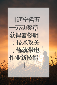 辽宁省五一劳动奖章获得者佟明：技术攻关，练就带电作业新技能