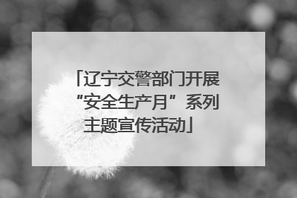 辽宁交警部门开展“安全生产月”系列主题宣传活动