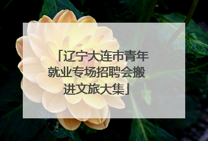 辽宁大连市青年就业专场招聘会搬进文旅大集