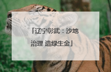 辽宁彰武：沙地治理 造绿生金