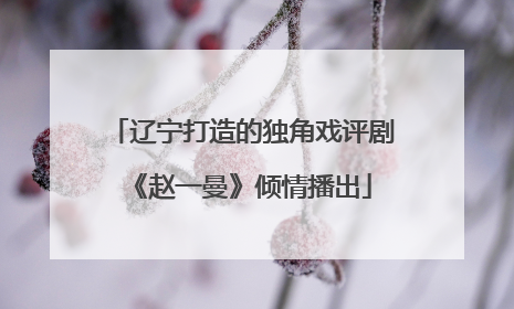 辽宁打造的独角戏评剧《赵一曼》倾情播出
