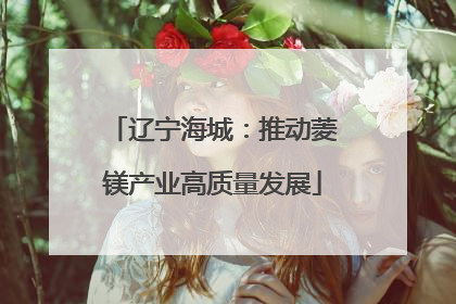 辽宁海城：推动菱镁产业高质量发展
