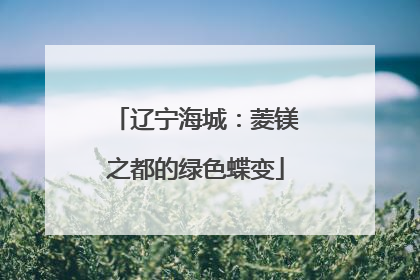 辽宁海城：菱镁之都的绿色蝶变