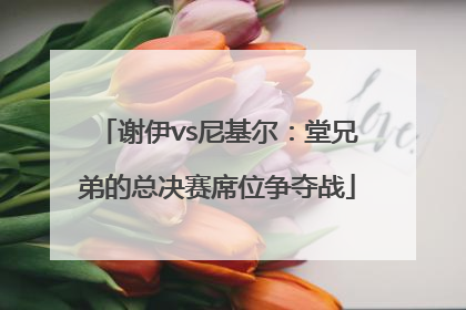 谢伊vs尼基尔：堂兄弟的总决赛席位争夺战