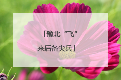 豫北“飞”来后备尖兵