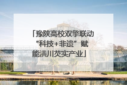 豫陕高校双擎联动 “科技+非遗”赋能潢川芡实产业