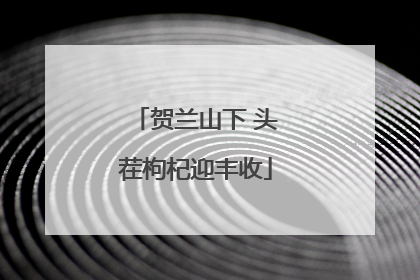 贺兰山下 头茬枸杞迎丰收