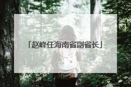 赵峰任海南省副省长