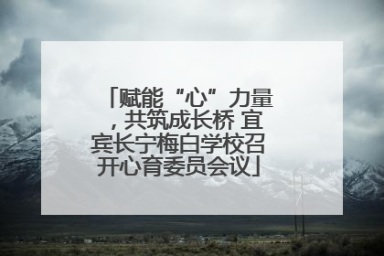 赋能“心”力量，共筑成长桥 宜宾长宁梅白学校召开心育委员会议