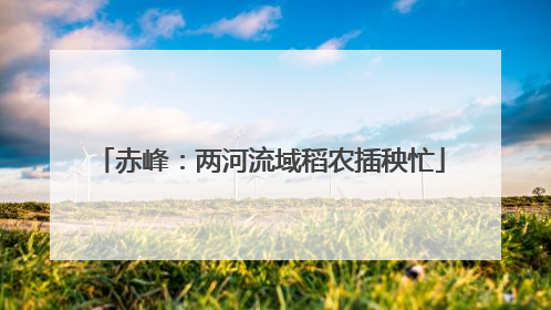 赤峰：两河流域稻农插秧忙