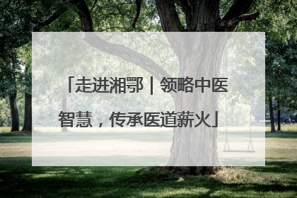 走进湘鄂｜领略中医智慧，传承医道薪火