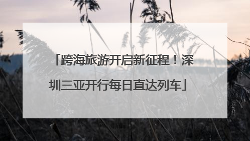 跨海旅游开启新征程！深圳三亚开行每日直达列车