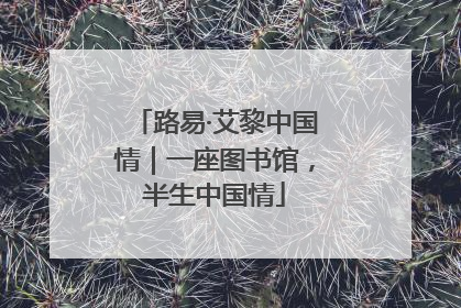 路易·艾黎中国情｜一座图书馆，半生中国情