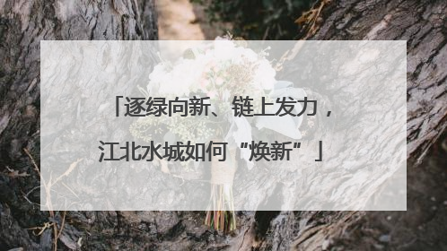 逐绿向新、链上发力，江北水城如何“焕新”