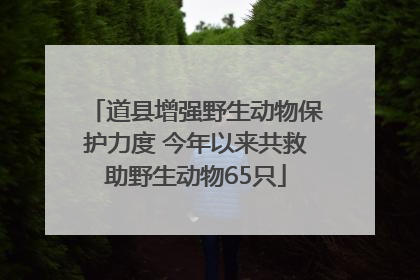 道县增强野生动物保护力度 今年以来共救助野生动物65只