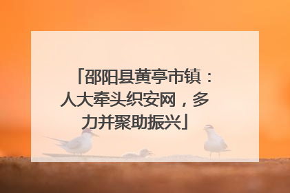 邵阳县黄亭市镇：人大牵头织安网，多力并聚助振兴
