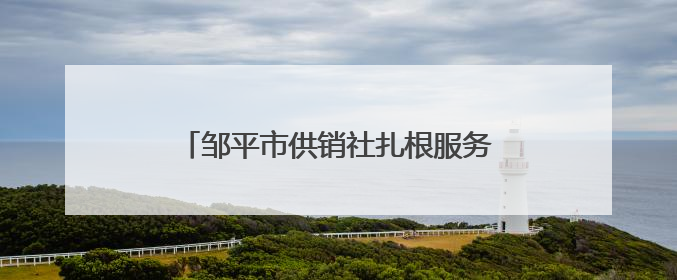 邹平市供销社扎根服务一线，助力丰产丰收