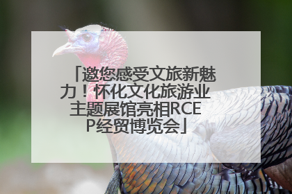 邀您感受文旅新魅力！怀化文化旅游业主题展馆亮相RCEP经贸博览会