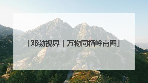 邓勃视界｜万物同栖岭南图