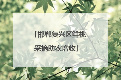 邯郸复兴区鲜桃采摘助农增收
