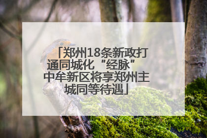 郑州18条新政打通同城化“经脉” 中牟新区将享郑州主城同等待遇