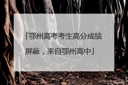 鄂州高考考生高分成绩屏蔽，来自鄂州高中