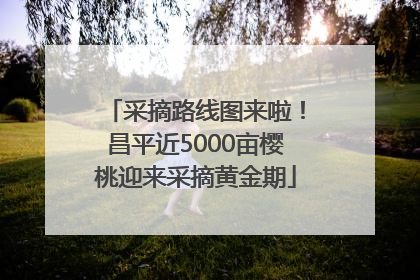 采摘路线图来啦！昌平近5000亩樱桃迎来采摘黄金期