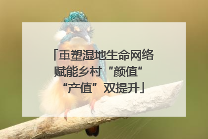 重塑湿地生命网络 赋能乡村“颜值”“产值”双提升