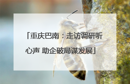 重庆巴南：走访调研听心声 助企破局谋发展