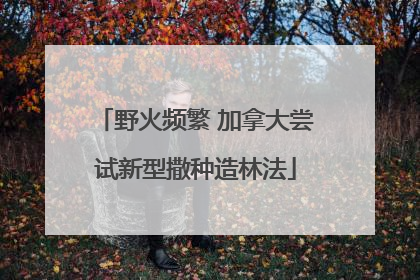野火频繁 加拿大尝试新型撒种造林法