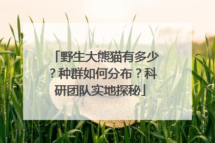 野生大熊猫有多少？种群如何分布？科研团队实地探秘