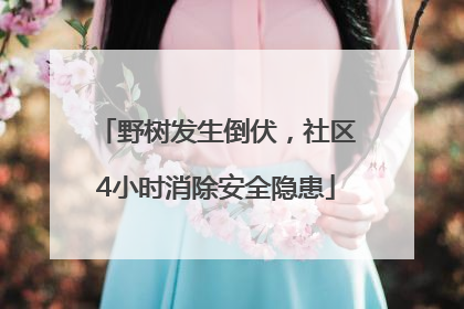 野树发生倒伏，社区4小时消除安全隐患