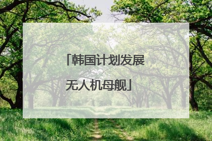 韩国计划发展无人机母舰