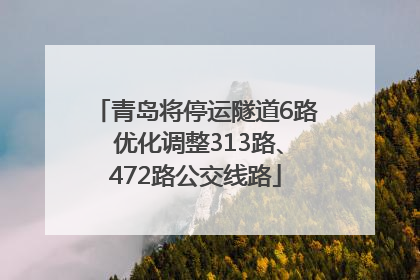 青岛将停运隧道6路 优化调整313路、472路公交线路