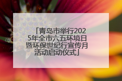青岛市举行2025年全市六五环境日暨环保世纪行宣传月活动启动仪式