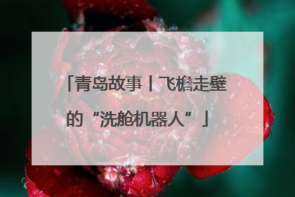 青岛故事丨飞檐走壁的“洗舱机器人”