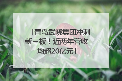 青岛武晓集团冲刺新三板！近两年营收均超20亿元