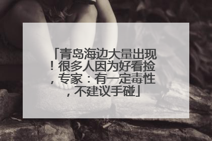 青岛海边大量出现！很多人因为好看捡，专家：有一定毒性，不建议手碰