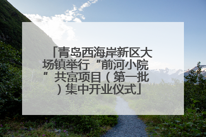 青岛西海岸新区大场镇举行“前河小院”共富项目（第一批）集中开业仪式