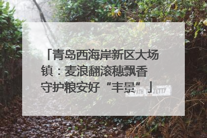 青岛西海岸新区大场镇：麦浪翻滚穗飘香 守护粮安好“丰景”