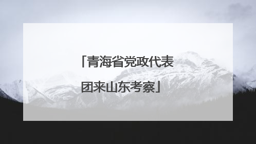 青海省党政代表团来山东考察