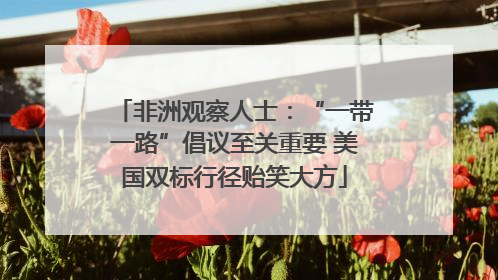 非洲观察人士：“一带一路”倡议至关重要 美国双标行径贻笑大方